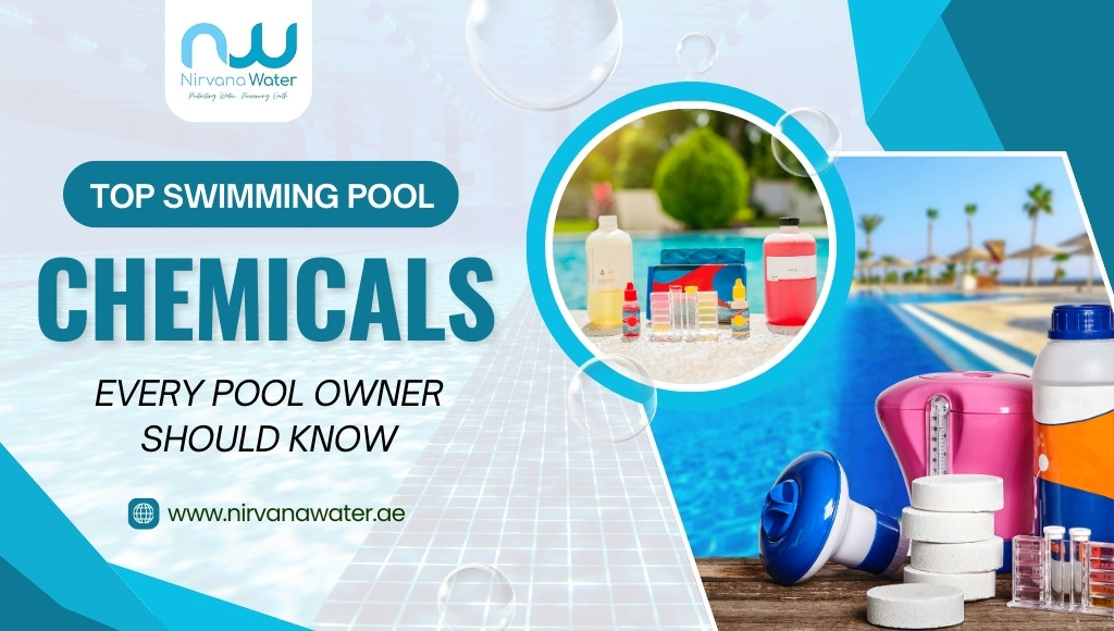 Top Swimming Pool Chemicals Every Pool Owner Should Know